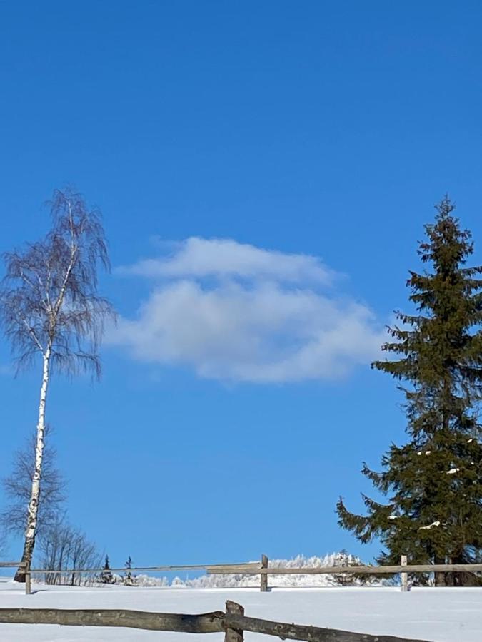 Садиба Anna Slavske Bagian luar foto